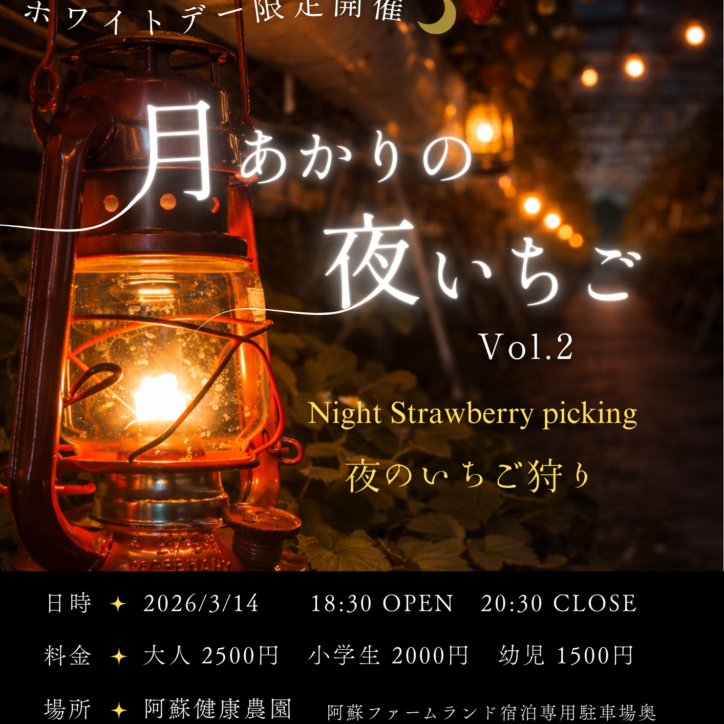 月明かりの夜いちごチラシ (3)